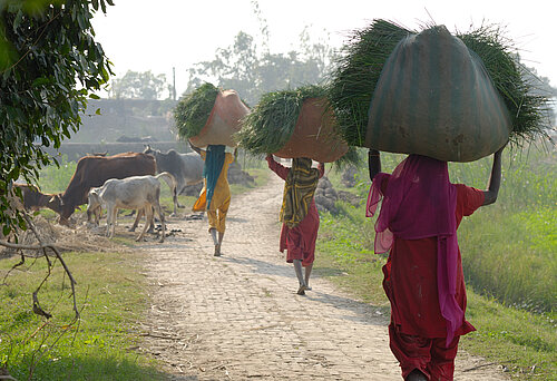 Reisbäuerinnen in Indien