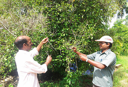 Mitglieder der Fairtrade-Kooperative MASS