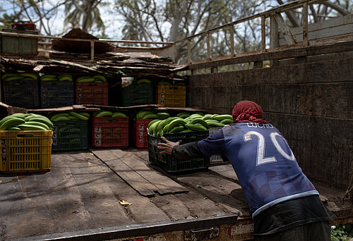 Ein Arbeiter lädt Bananenkisten in einen LKW.