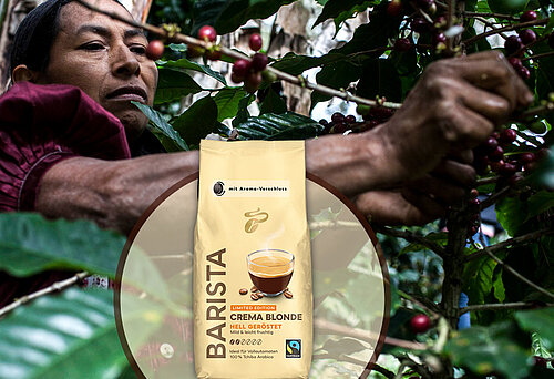 Tchibo BARISTA Blonde und Projektarbeit mit Fairtrade