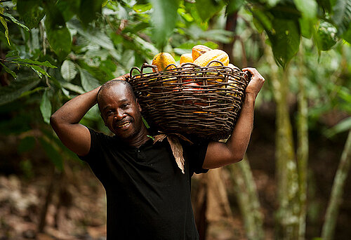 Fortin Bley, ivorischer Kakaobauer. Bild: Éric St-Pierre
