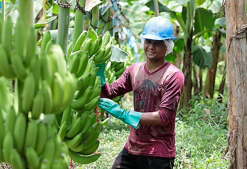 Naguit Acosta, Bananen-Produzent aus Kolumbien