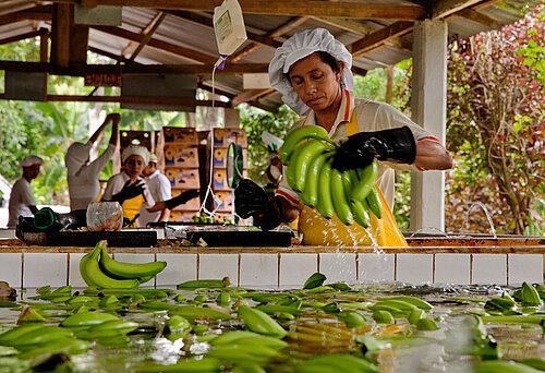 Mitglieder der Kooperative "Coofabrio" bei der Arbeit. © Eduardo Martino / Documentography 