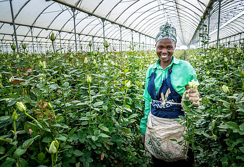 Arbeiterin auf einer Blumenfarm. Foto © Remo Naegeli