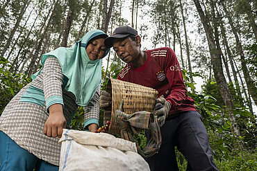 Eine Frau hält einen weißen Sack auf, in den ein Mann Kaffeekirschen aus einem Eimer schüttet. Das Bild ist das Titelbild des Jahresberichts von Fairtrade International