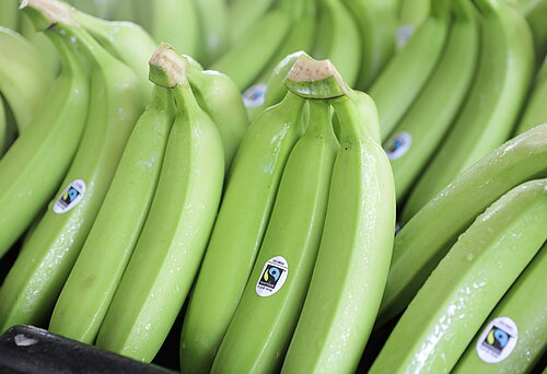 Fairtrade-Bananen im Ursprungsland