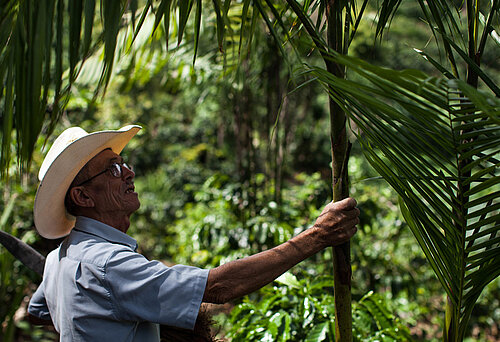 Kleinbauer aus Honduras bei der Feldarbeit