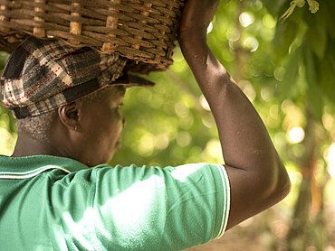 Bäuerin einer Kakao-Kooperative in Ghana