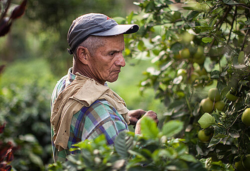 Fairtrade-Kleinbauer aus Kolumbien auf seiner Finca